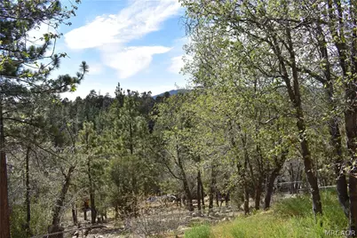 442 Inyo Avenue, Sugarloaf, CA 92386 - Photo 22