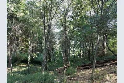24093 Zurich Drive, Crestline, CA 92325 - Photo 16