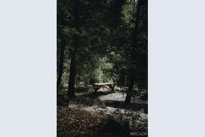 777 Ivy Lane, Lake Arrowhead, CA 92352 - Photo 32
