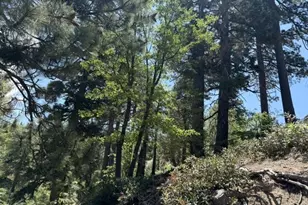 33285 Angeles Dr, Green Valley Lake, CA 92341 - Photo 18