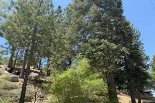 33285 Angeles Dr, Green Valley Lake, CA 92341 - Photo 28