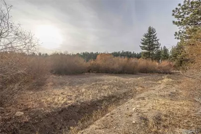 39271 Seminole Drive, Fawnskin, CA 92333 - Photo 2