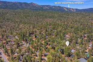 793 Los Angeles Ave, Sugarloaf, CA 92386 - Photo 16