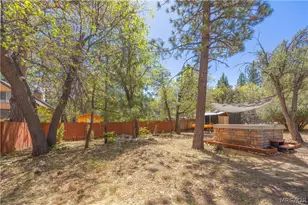 793 Los Angeles Ave, Sugarloaf, CA 92386 - Photo 6