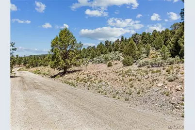 2787 Erwin Ranch Road, Big Bear City, CA 92314 - Photo 20