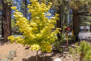 41705 Swan Dr Dr, Big Bear Lake, CA 92315 - Photo 52