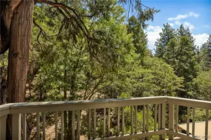 2343 Spring Oak Dr, Green Valley Lake, CA 92382 - Photo 18