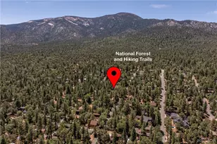753 Maple Ln, Sugarloaf, CA 92386 - Photo 4