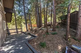 747 Bergschrund Dr, Cedar Glen, CA 92325 - Photo 28