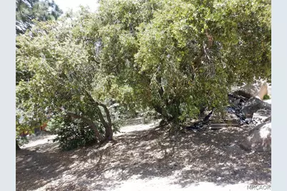 0 Holcomb Creek Drive, Green Valley Lake, CA 92341 - Photo 2