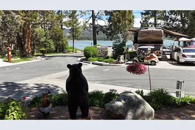 40751 North Shore Lane #127, Fawnskin, CA 92333 - Photo 10