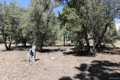 0 Pioneer Lane, Big Bear City, CA 92314 - Photo 4