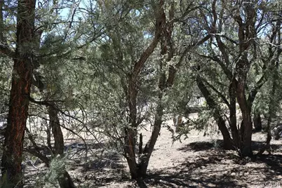 0 Pioneer Lane, Big Bear City, CA 92314 - Photo 10