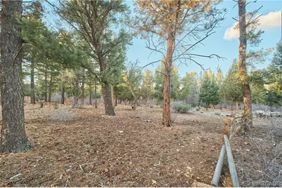 660 Cedar Glen Drive, Big Bear City, CA 92314 - Photo 2