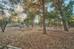 660 Cedar Glen Dr, Big Bear City, CA 92314 - Photo 1