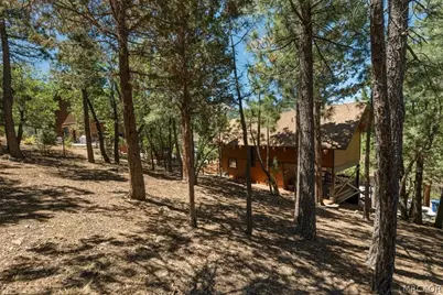 43770 Colusa Drive, Big Bear Lake, CA 92315 - Photo 42