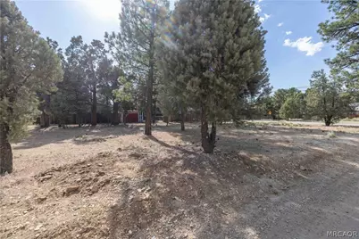 909 Ash Lane, Big Bear City, CA 92314 - Photo 2