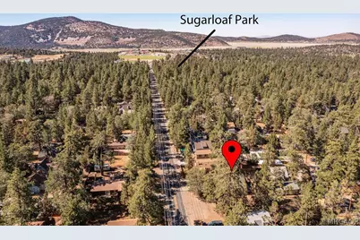 451 Maple Lane, Sugarloaf, CA 92386 - Photo 42