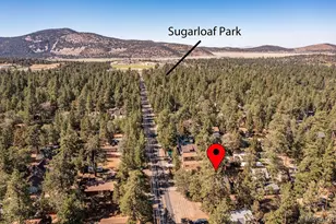 451 Maple Ln, Sugarloaf, CA 92386 - Photo 42