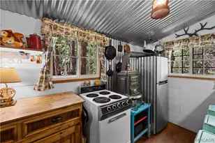 70 Barton Flats Rd, Angeles Oaks, CA 92305 - Photo 4