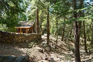 70 Barton Flats Rd, Angeles Oaks, CA 92305 - Photo 44