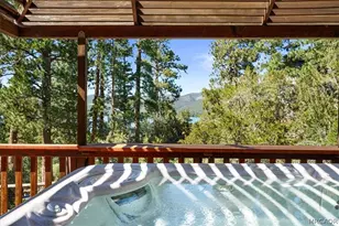 799 Paine Rd, Big Bear Lake, CA 92315 - Photo 26