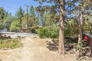 133 Holmes Ln, Sugarloaf, CA 92386 - Photo 4