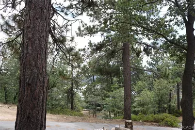 281 Pine Oak Lane, Fawnskin, CA 92315 - Photo 38