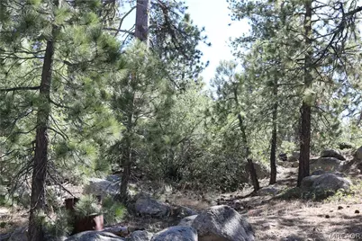 382 Stonehouse Road, Big Bear Lake, CA 92315 - Photo 38