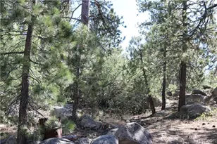 382 Stonehouse Rd, Big Bear Lake, CA 92315 - Photo 38