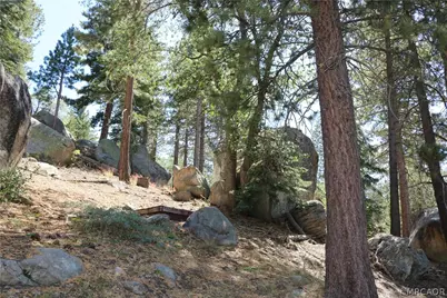 382 Stonehouse Road, Big Bear Lake, CA 92315 - Photo 30