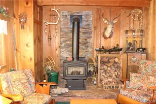 382 Stonehouse Rd, Big Bear Lake, CA 92315 - Photo 14