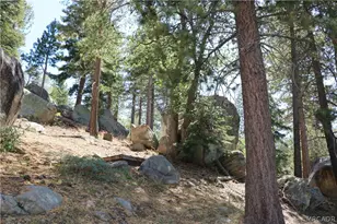382 Stonehouse Rd, Big Bear Lake, CA 92315 - Photo 28