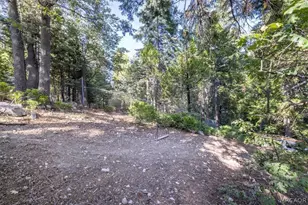 380 Dolly Varden Dr, Lake Arrowhead, CA 92352 - Photo 52