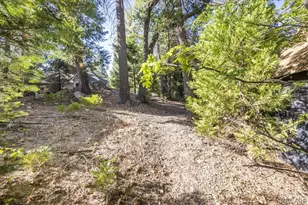 380 Dolly Varden Dr, Lake Arrowhead, CA 92352 - Photo 50