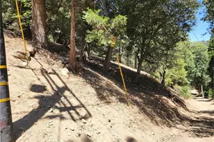 0 Burnt Mill Canyon, Cedarpines Park, CA 92322 - Photo 1