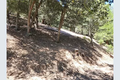 0 Burnt Mill Canyon, Cedarpines Park, CA 92322 - Photo 2