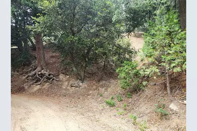 0 Fern Canyon Road, Cedarpines Park, CA 92322 - Photo 2