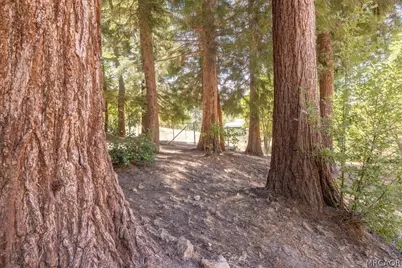 2383 Secret Drive, Running Springs, CA 92382 - Photo 2