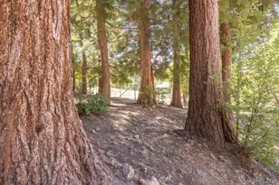 2383 Secret Dr, Running Springs, CA 92382 - Photo 2