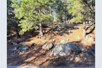 0 Thunderbird Drive, Cedar Glen, CA 92352 - Photo 4
