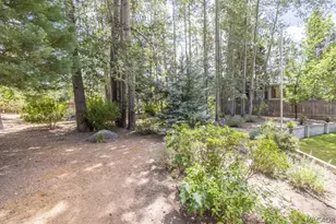 155 Lodgepole Pl, Big Bear Lake, CA 92315 - Photo 12