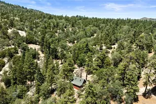 391 Pine Hill Dr, Fawnskin, CA 92333 - Photo 30