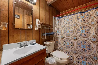 396 Holmes Lane, Sugarloaf, CA 92386 - Photo 14