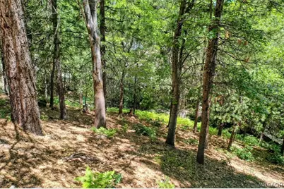 27457 North Bay Road, Lake Arrowhead, CA 92352 - Photo 12