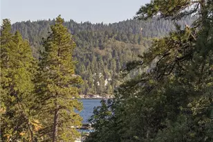 28819 N Shore Rd, Lake Arrowhead, CA 92352 - Photo 18