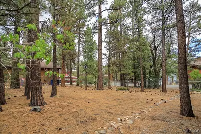 630 S Pine Lane, Sugarloaf, CA 92386 - Photo 28