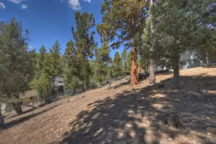 911 Panamint Mountain Dr, Big Bear City, CA 92314 - Photo 36