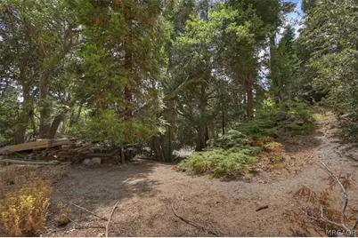 31070 Old City Creek Road, Running Springs, CA 92382 - Photo 6