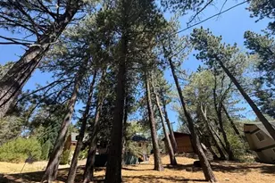 33390 Wild Rose Dr, Green Valley Lake, CA 92341 - Photo 28